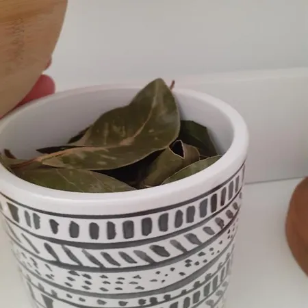 Casa vacanze Dos Santos - Geres