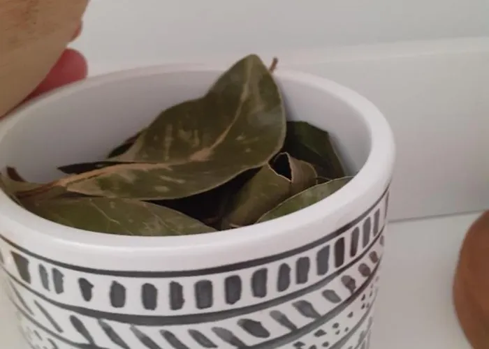 Ferienhaus Dos Santos - Geres